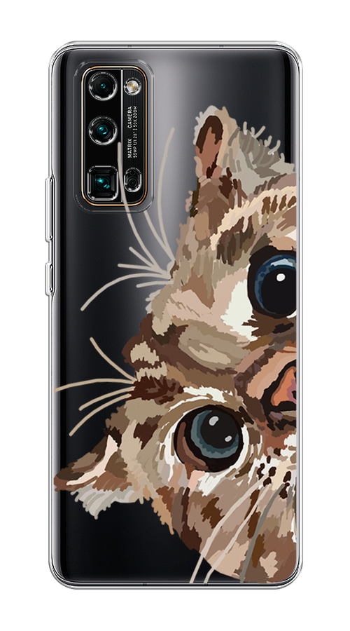 

Чехол на Honor 30 Pro Plus "Любопытный кот", Коричневый;синий;черный, 612250-1