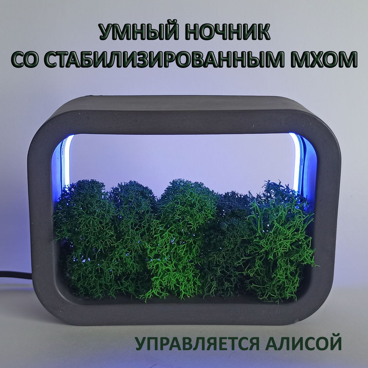 

Умный ночник Цветная подсветка алиса.rgb-черный, Цветная подсветка