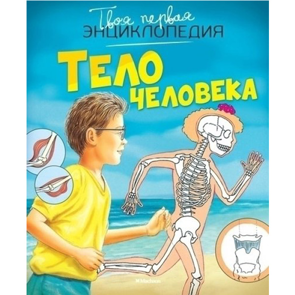 

Тело человека