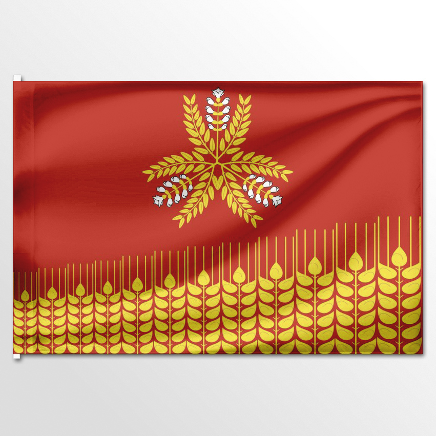 

Флаг ЦТП ФЕНИКС Краснополянского сельского поселения 135x90 см, 7688-135x90