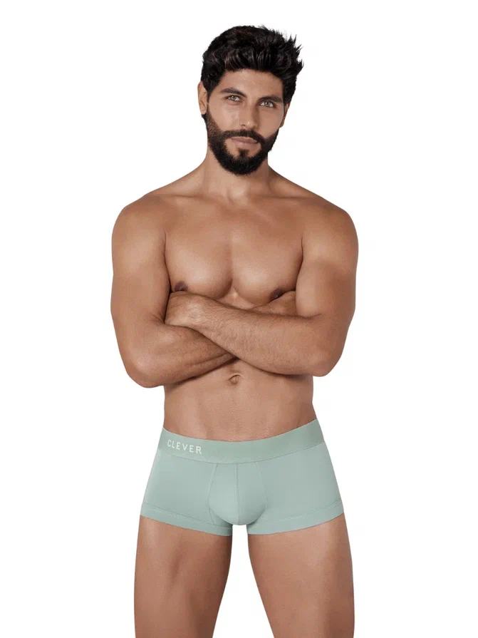 

Трусы мужские Clever Masculine Underwear 1306 зеленые S, Зеленый, 1306