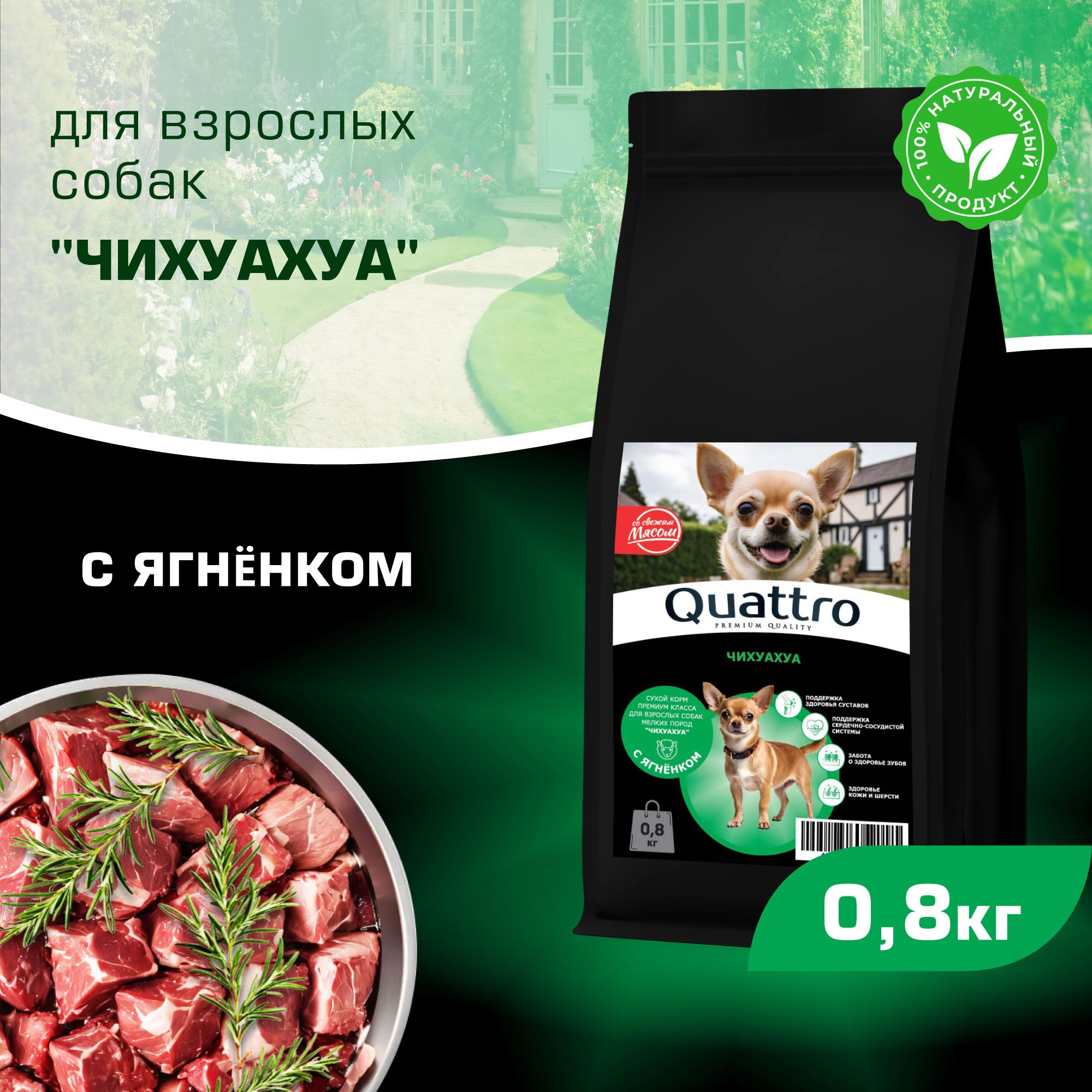 

Сухой корм для собак QUATTRO для породы Чихуахуа, с ягненком, 800 г