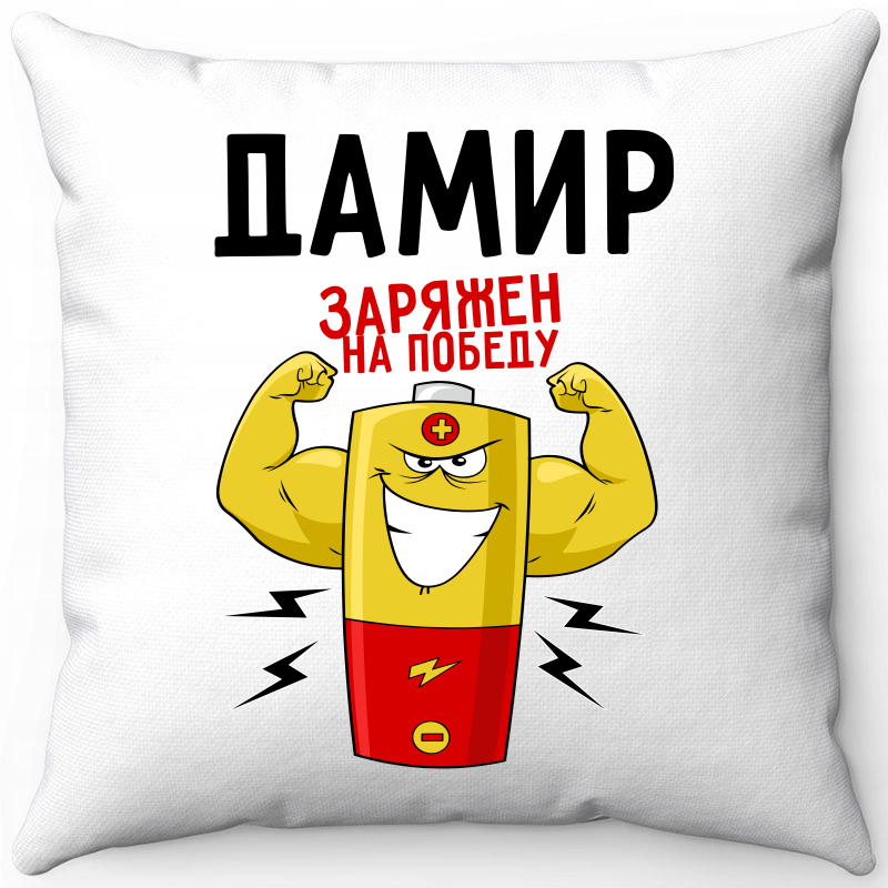 

Подушка декоративная Море Маек Белая 40х40, Дамир заряжен на победу 1, Белый, Белая 40х40