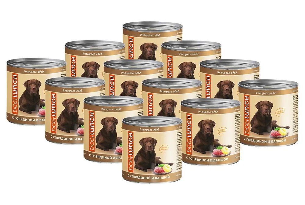 

Влажный корм для собак Dog Lunch Экспресс-обед с говядиной и лапшой, 12 шт по 750 г