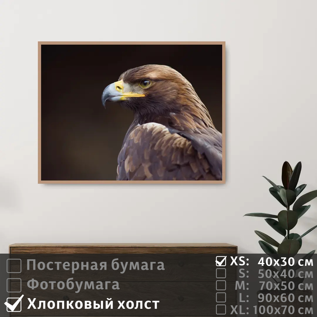

Постер на холсте ПолиЦентр Орел смотрит вдаль 40х30 см, ОрелСмотритВдаль