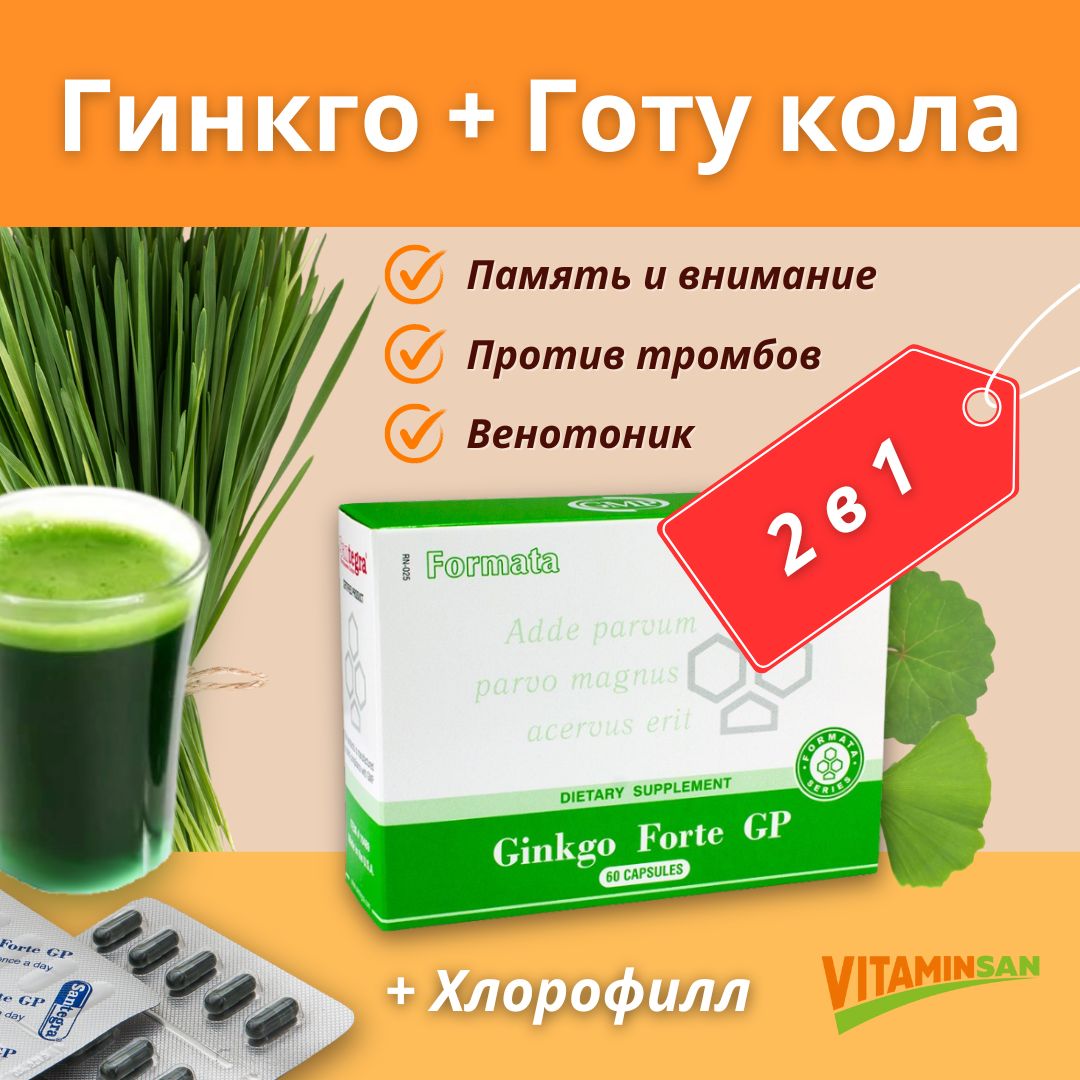 Гинкго билоба и Готу кола Santegra Ginkgo Forte GP 60 капсул