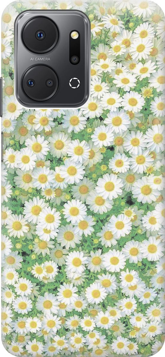 Силиконовый чехол на Honor X7a с принтом 