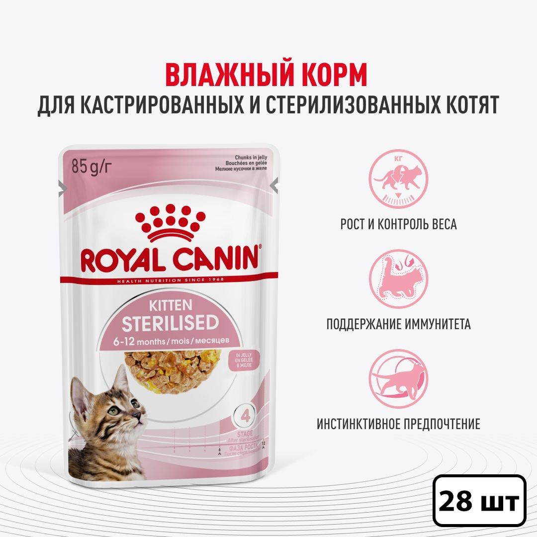 Влажный корм для стерилизованных котят Royal Canin, кусочки в желе, 28 шт по 85 гр