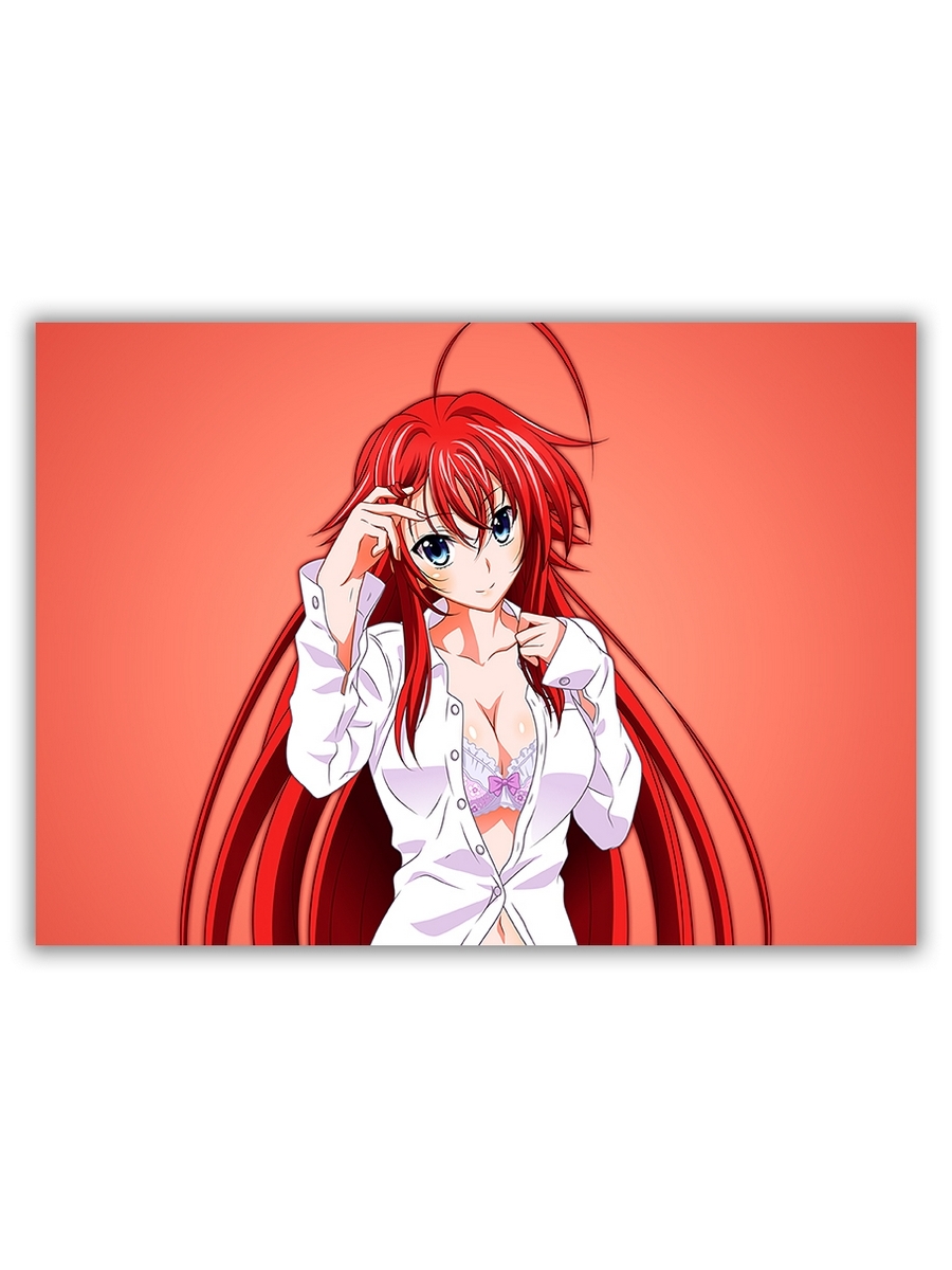 фото Магнит на холодильник drabs большой - a4, high school dxd, риас