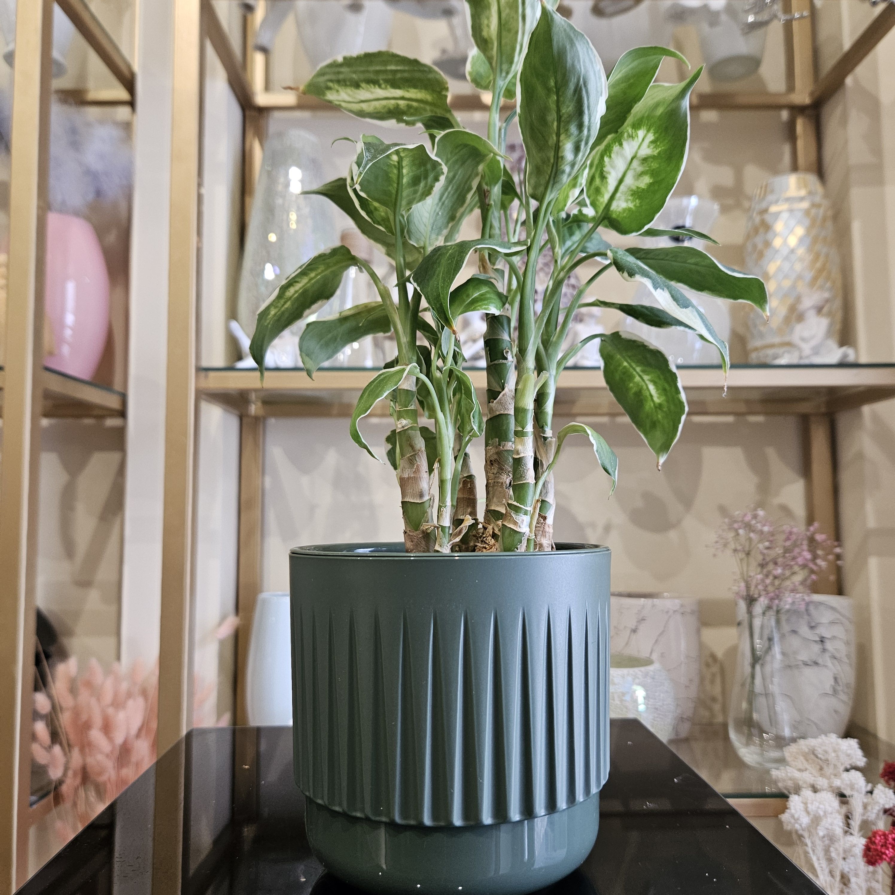 Горшок для цветов ArAs Flowers Бетта Нефрит, артикул 947, 1,4 л., 1 шт.