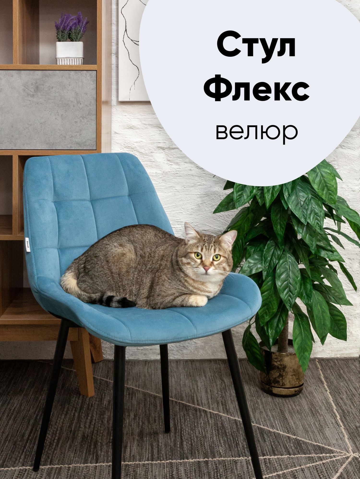 

Стул для кухни Stool Group Флекс, велюр пыльно-голубой, Флекс
