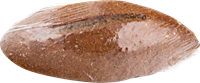 фото Хлебец лента ржаной с чесночным маслом 75 г