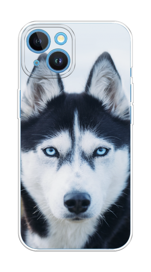

Чехол на Apple iPhone 15 "Хаски 2", Синий;белый, 15550-1