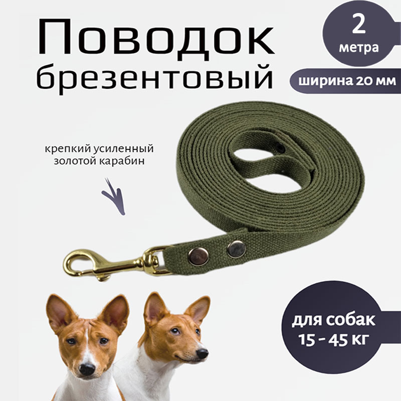 

Поводок для собак Хвостатыч с золотистым карабином, зеленый, брезент, 2 м х 20 мм