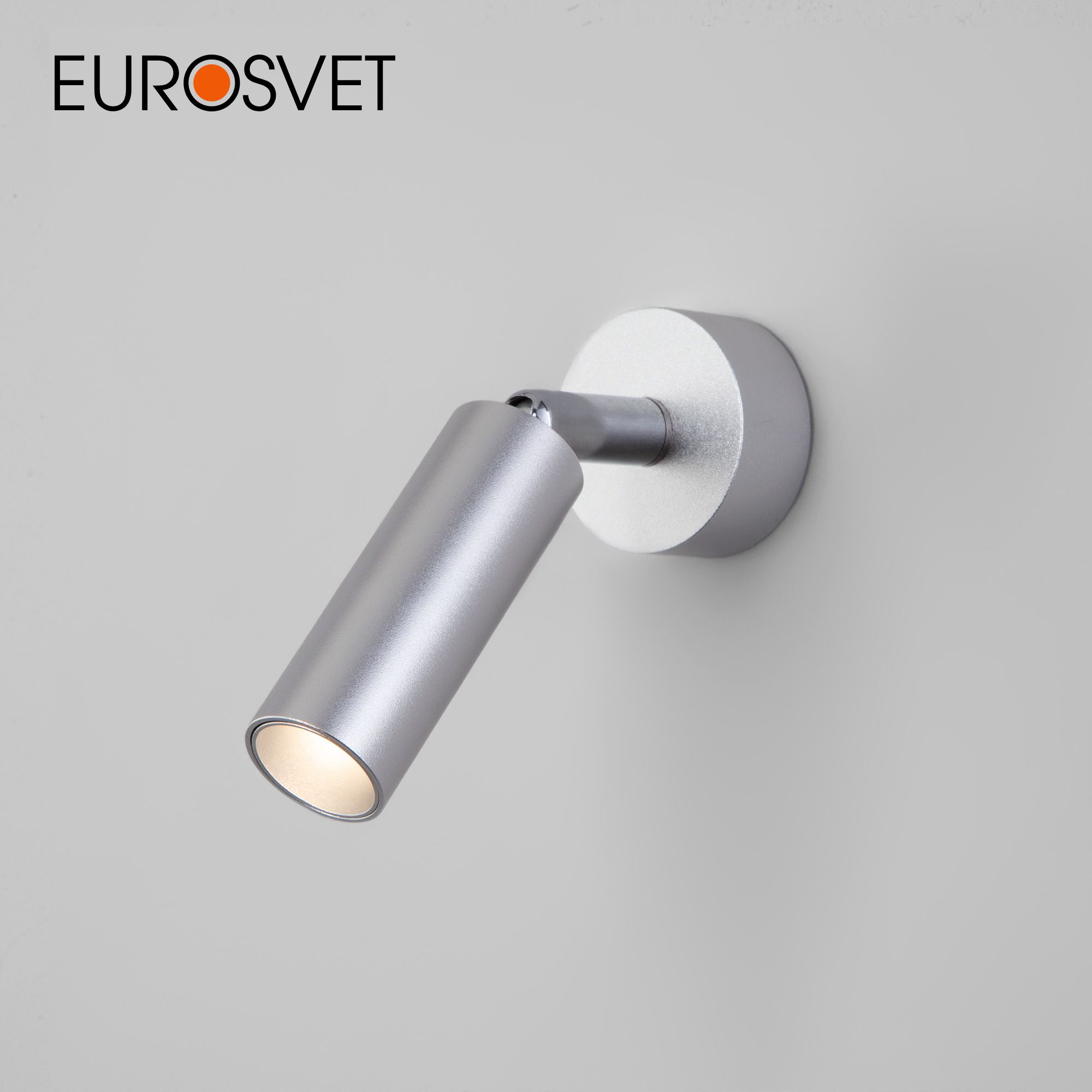 Настенный светодиодный светильник Eurosvet Pin 20133/1 LED серебро с поворотным плафоном