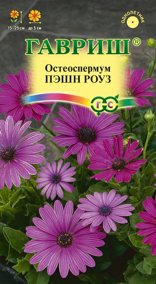 

Семена остеоспермум Пэшн роуз Гавриш 1071854182-1 1 уп.
