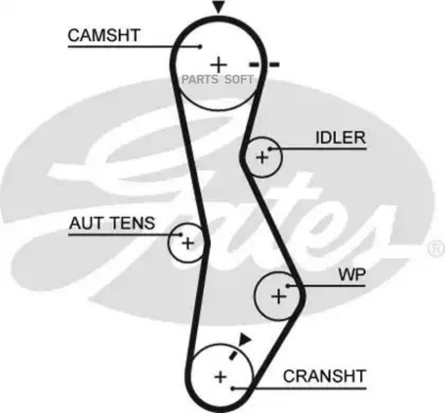 

GATES Ремень ГРМ GATES 5579XS