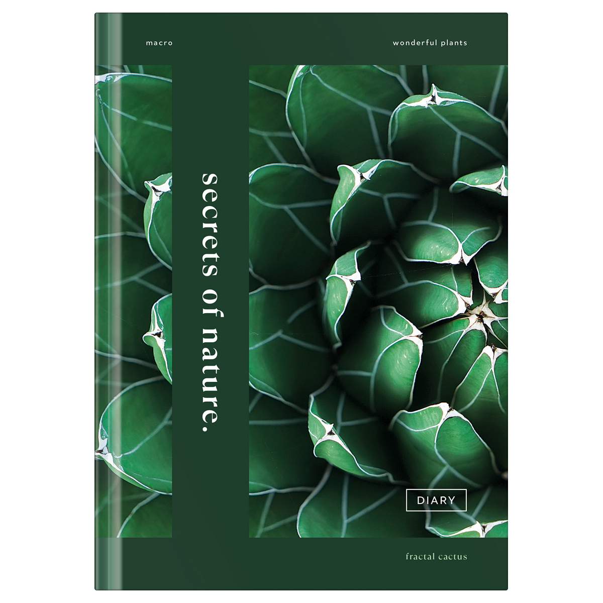 

Записная книжка BG "Secrets nature" 342954, 64 л., A5, 3 шт., 342954