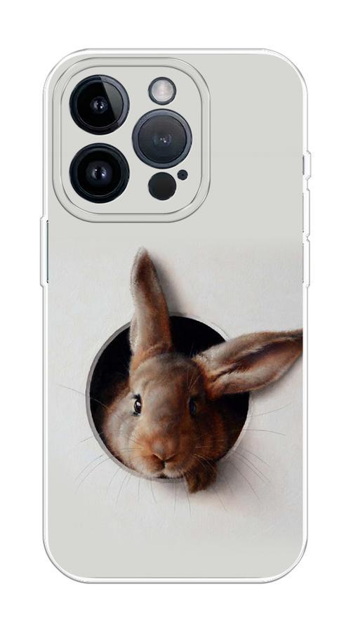 

Чехол на Apple iPhone 15 Pro "Любопытный кролик", Серый;коричневый, 15750-1