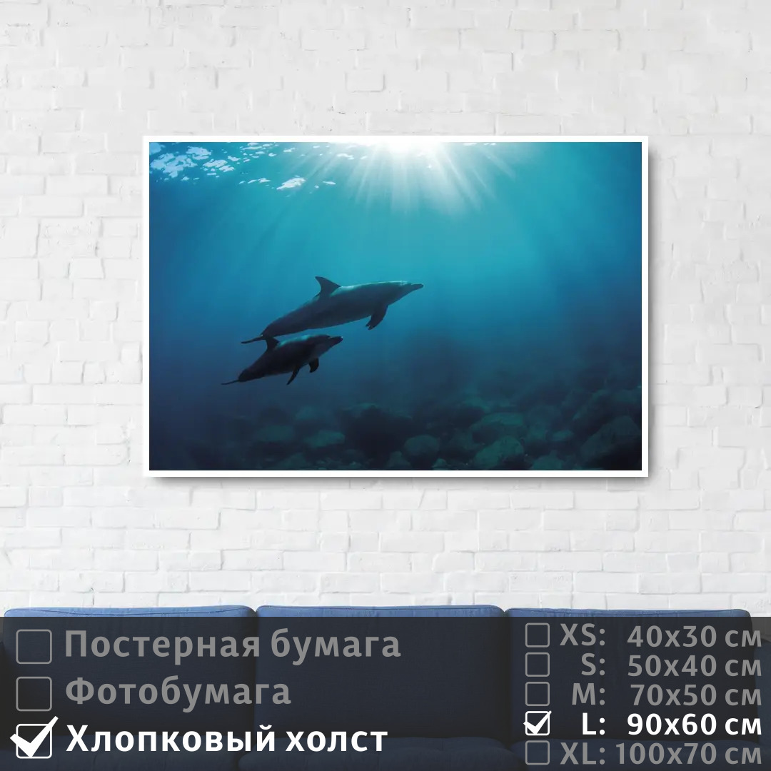 

Постер на холсте ПолиЦентр Два дельфина плавают в глубине океана 90х60 см, ДваДельфинаПлаваютВГлубинеОкеана