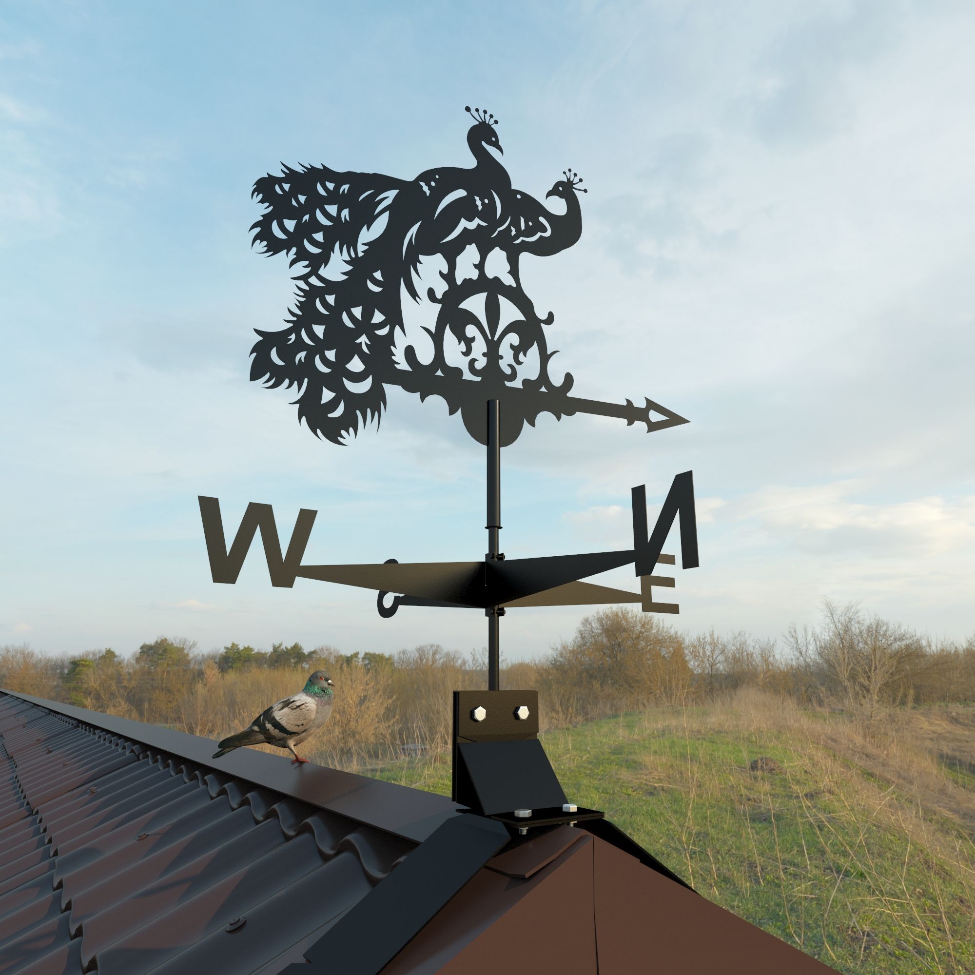 

Флюгер Статус Павлин Черный, Павлин