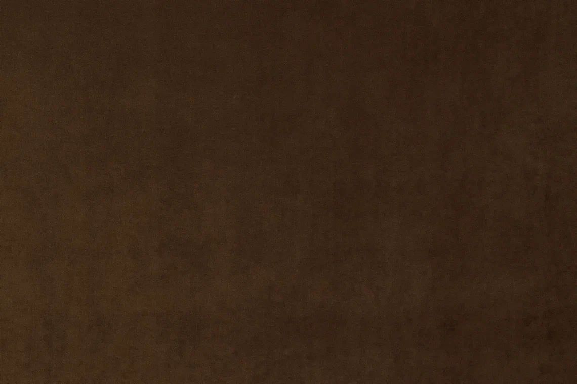 

Ткань мебельная Велюр, Крокус, модель Левен тёмно-коричневый (тёплый), ЛИОН
