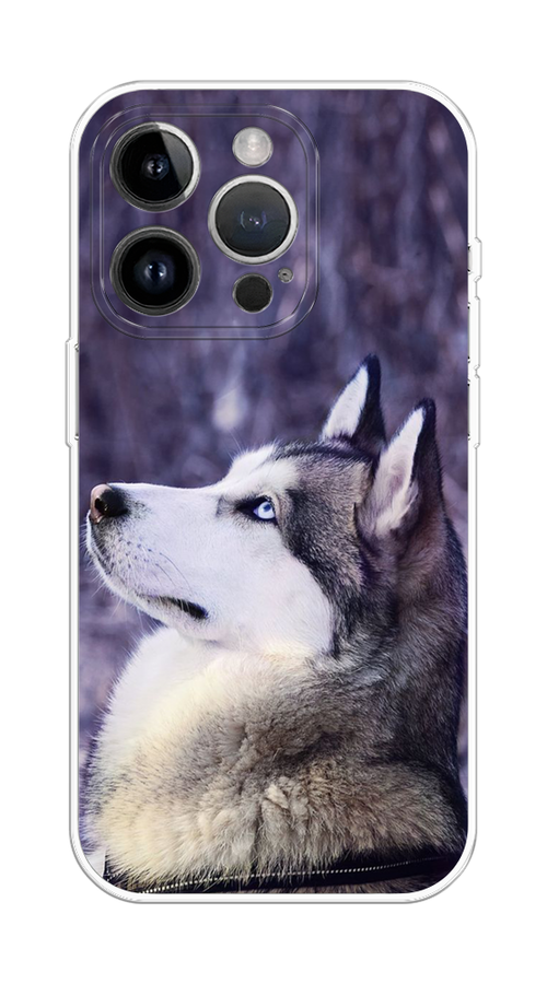 

Чехол на Apple iPhone 15 Pro Max "Хаски 1", Фиолетовый;белый, 15850-1
