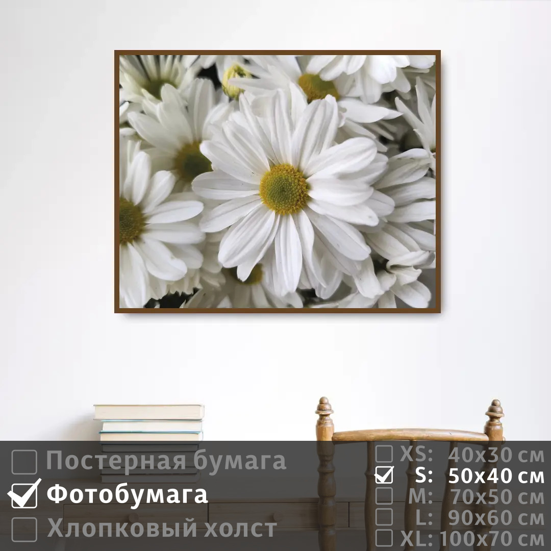 

Постер на фотобумаге ПолиЦентр Белоснежные ромашки 50х40 см, БелоснежныеРомашки