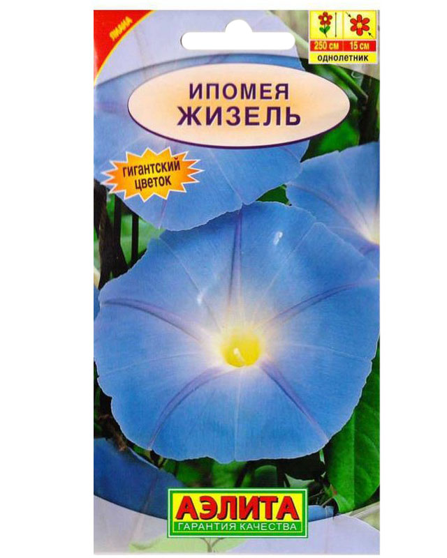 

Семена цветов Аэлита Ипомея Жизель однолетник