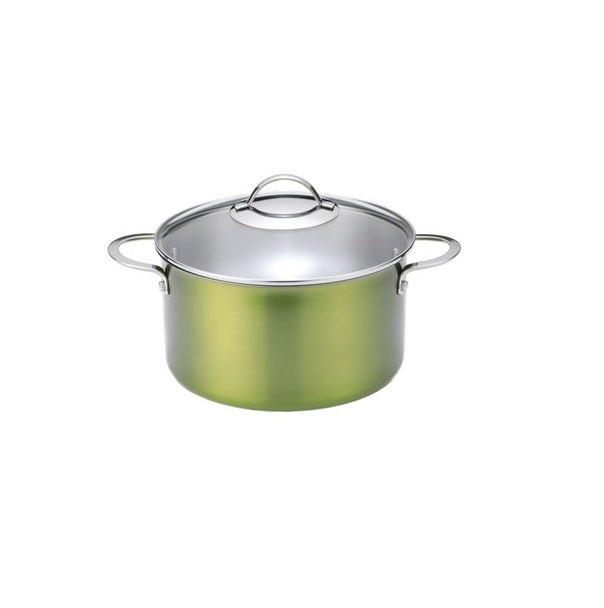 

Кастрюля Green Leaf 6 л 24 см с крышкой, Зеленый