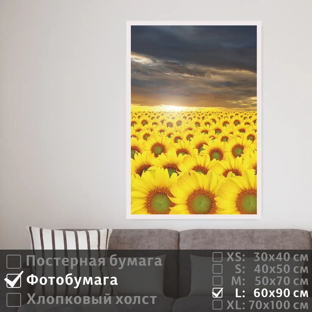 

Постер на фотобумаге ПолиЦентр Подсолнухи в сумерках под облаками 60х90 см, ПодсолнухиВСумеркахПодОблаками