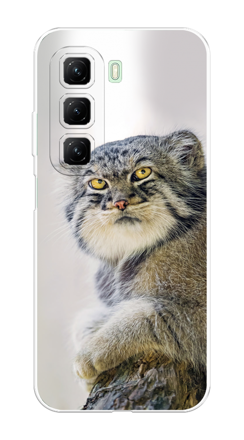 

Чехол на Infinix Hot 50 4G "Кот манул 1", Серый;белый;желтый, 3106550-1