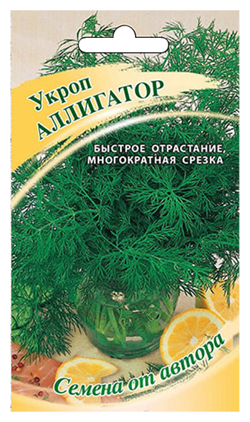 

Укроп Аллигатор, Аллигатор