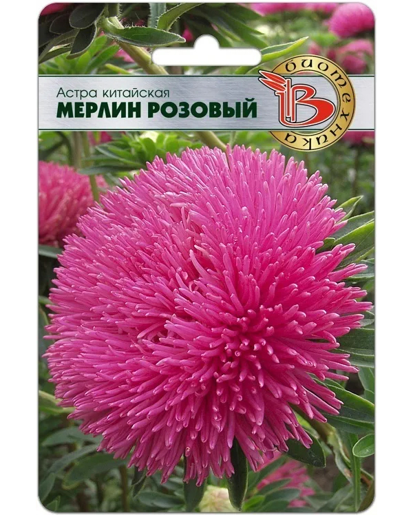 

Семена цветов астра Мерлин Биотехника 30522 5 г 1 уп., Мерлин