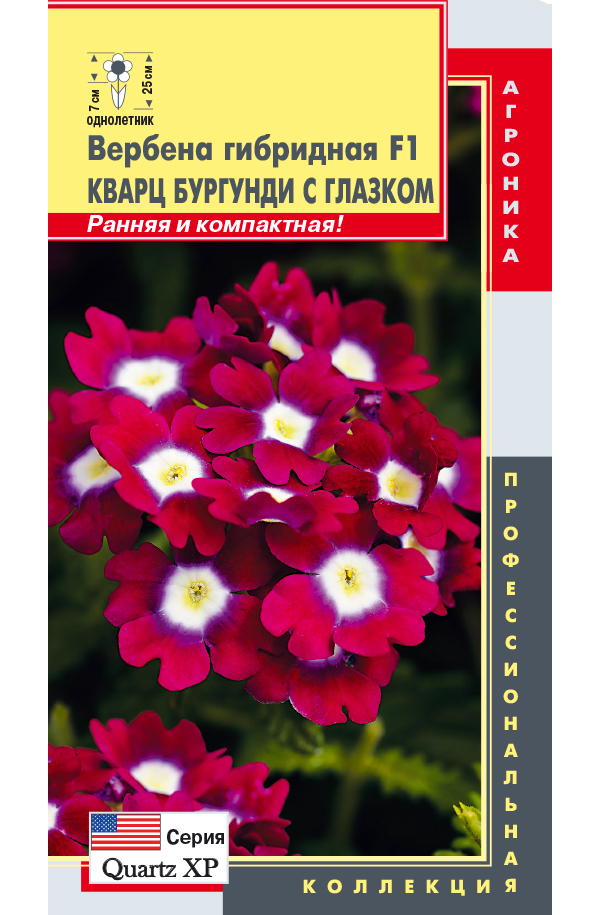 Семена вербена Плазменные семена Кварц бургунди с глазком F1 21191 1 уп.