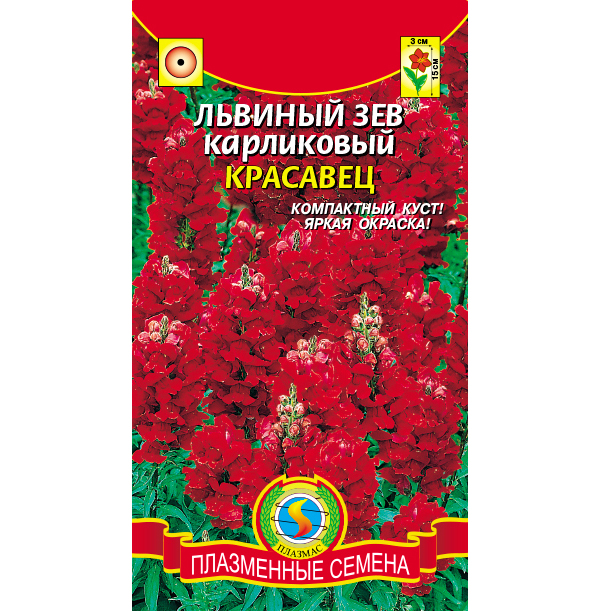 

Семена львиный зев Плазменные семена Карликовый красавец 21249 1 уп., Карликовый красавец