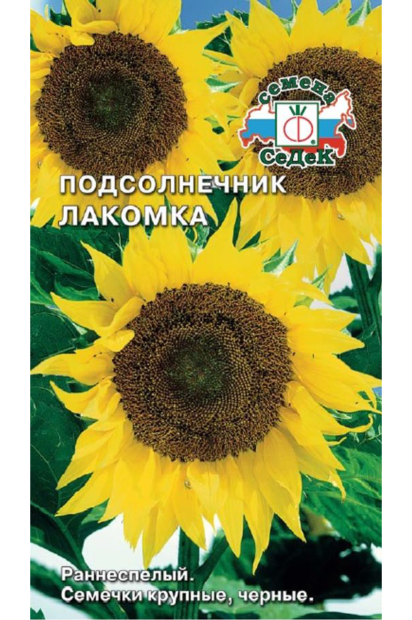 

Семена подсолнечник СеДеК Лакомка 16553 1 уп., Лакомка
