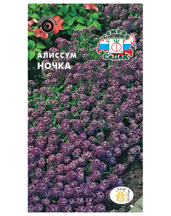 

Семена алиссум СеДеК Ночка 13523 1 уп., Ночка (морской)