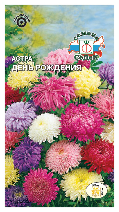 

Семена астра СеДеК День рождения 13542 1 уп., День рождения