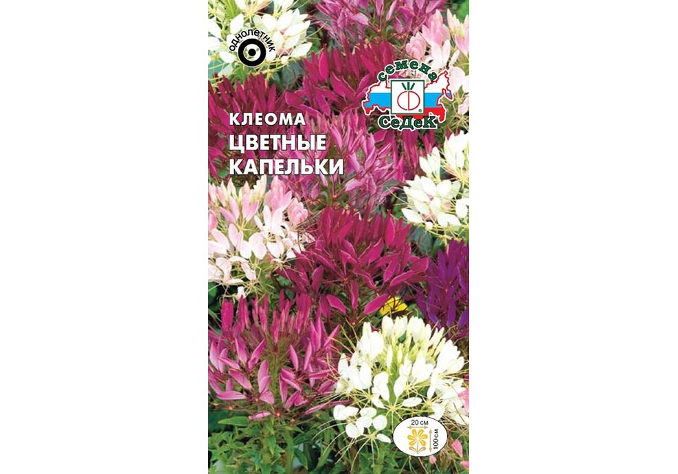

Семена клеома СеДеК Цветные капельки 14345 1 уп., Цветные капельки
