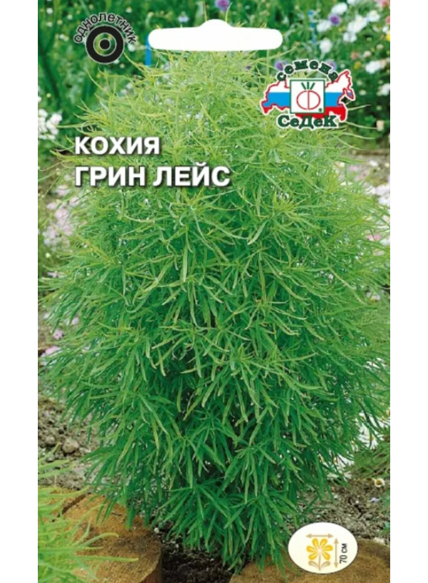 

Семена кохия СеДеК Грин лейс 14114 1 уп., Грин лейс