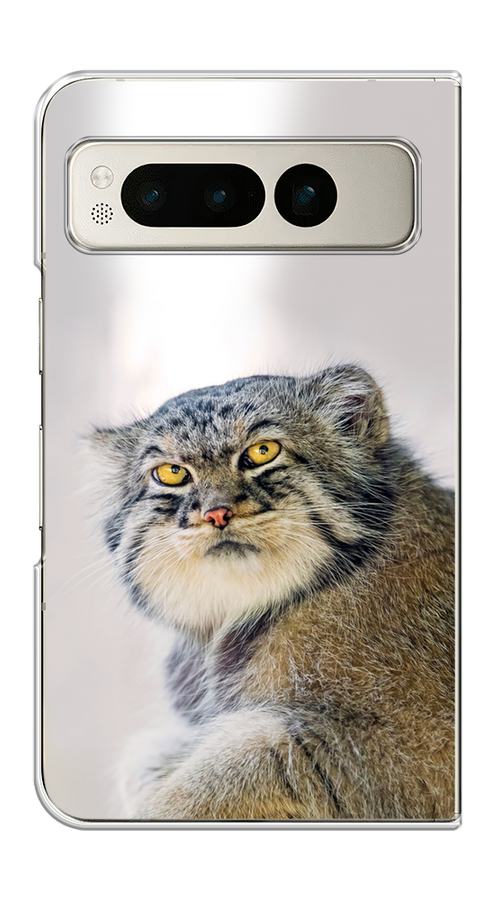 

Чехол на Google Pixel Fold "Кот манул 1", Серый;белый;желтый, 271850-1