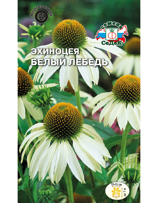 

Семена эхинацея СеДеК Белый лебедь 14960 1 уп., Белый лебедь