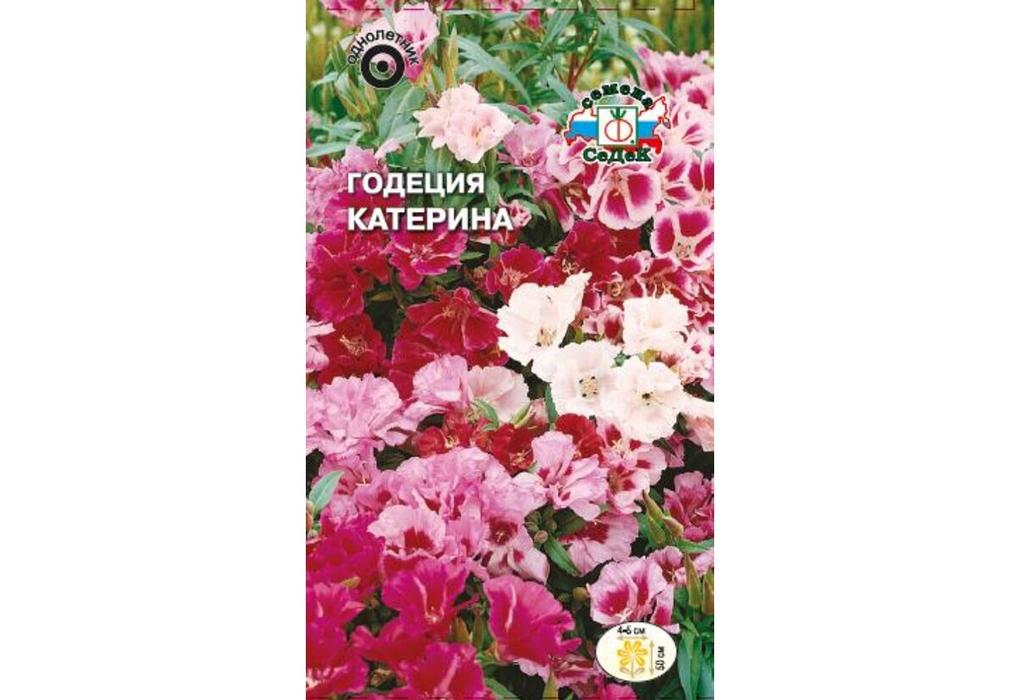 

Семена годеция СеДеК Катерина 15102 1 уп., Катерина