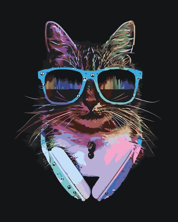 

Картина по номерам «Диско-кот»