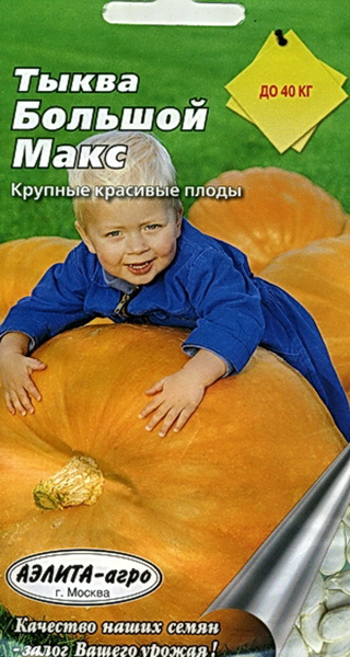 

Семена овощей Аэлита Тыква крупноплодная Большой Макс