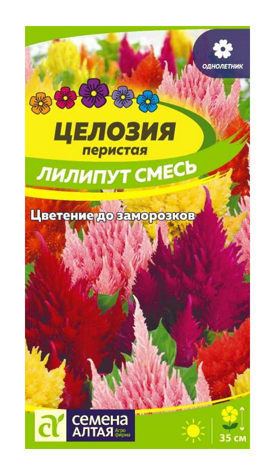 

Семена Целозия Семена алтая Лилипут смесь перистая Однолетние 0,1 гр., Семена Целозия Лилипут смесь перистая Однолетние 0,1 гр.