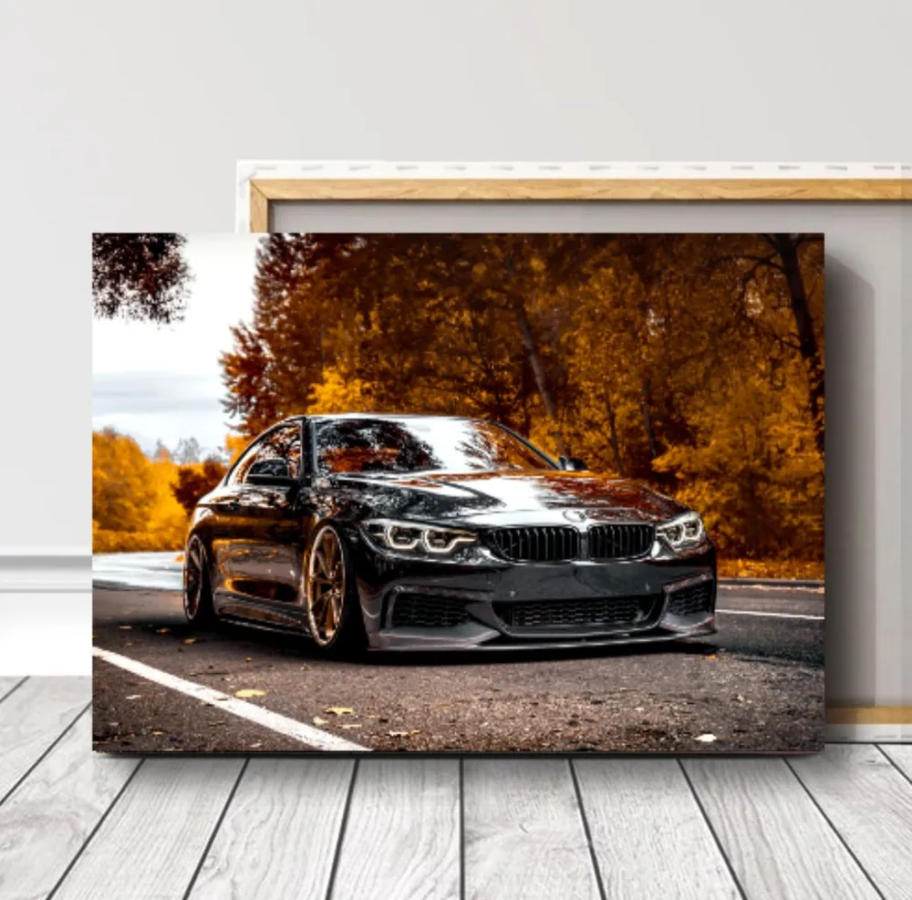 

Картина BMW M4 60*90см на искусственном холсте