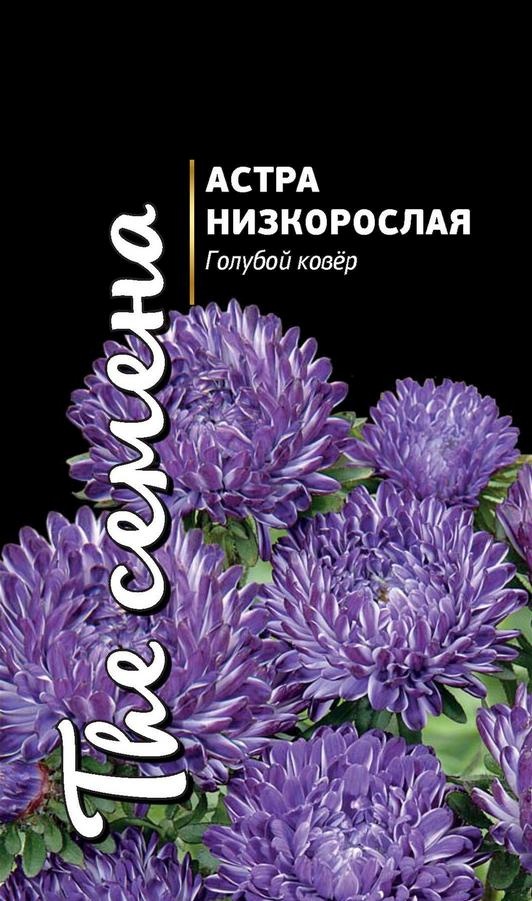 

Семена цветов астра Голубой ковер 25452 0,2 г 1 шт.