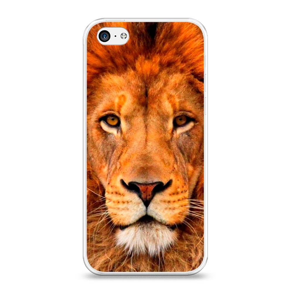 

Чехол на Apple iPhone 5C "Благородный лев", Оранжевый, 10250-1